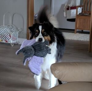 Knee Replacement... Ugh!